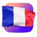 icon-france-flag@2x
